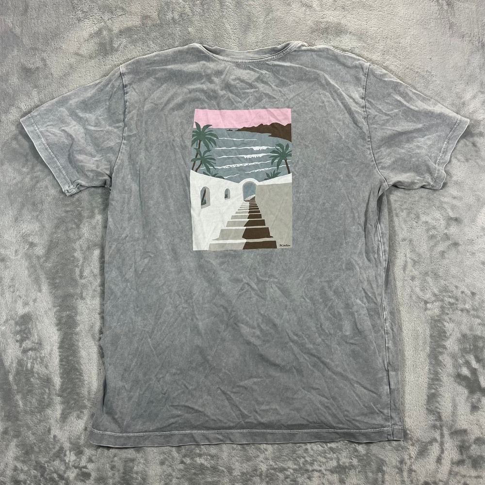 KATIN Graphic Print T Shirt Mens Large Gray Organic Cotton Mineral Wash Surf Tee